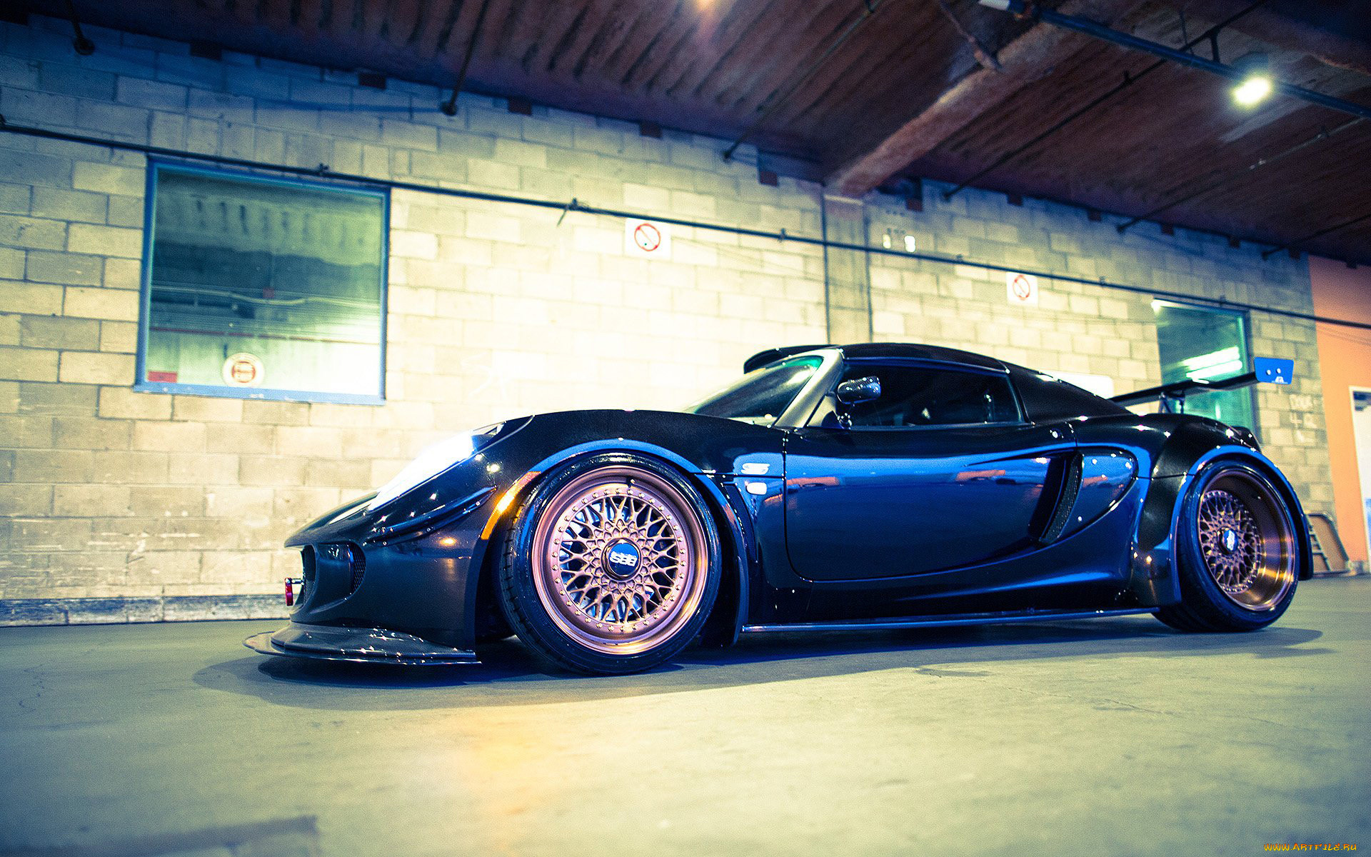 , lotus